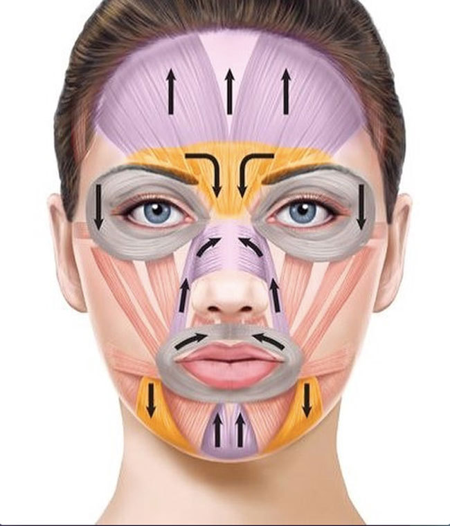 Фотография портрета человека с лицом в крупном плане.